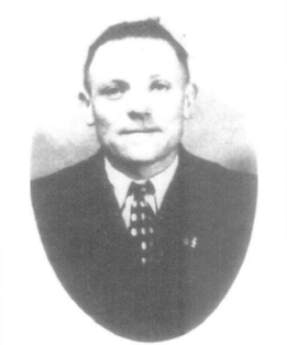 Jan Frans Vanstippelen