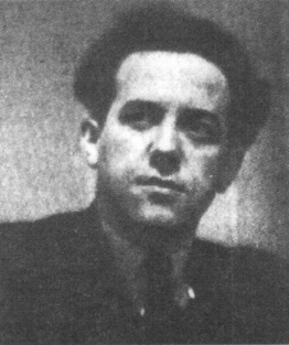 Theo Brouns